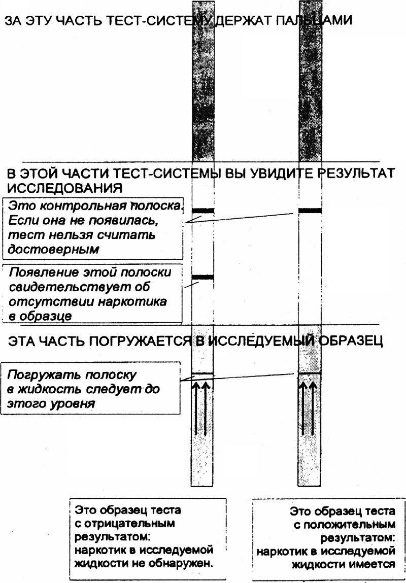 Рис. 1. Тест-система для экспресс-диагностики